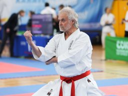 Masterklasse und Para-Karate
