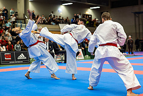 Deutsche Meisterschaft der Leistungsklasse und Para Karate