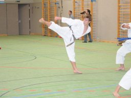 bkj-training-ingolstadt_128_20111104_1393716598