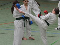 bkj-training-ingolstadt_33_20111104_1385827727