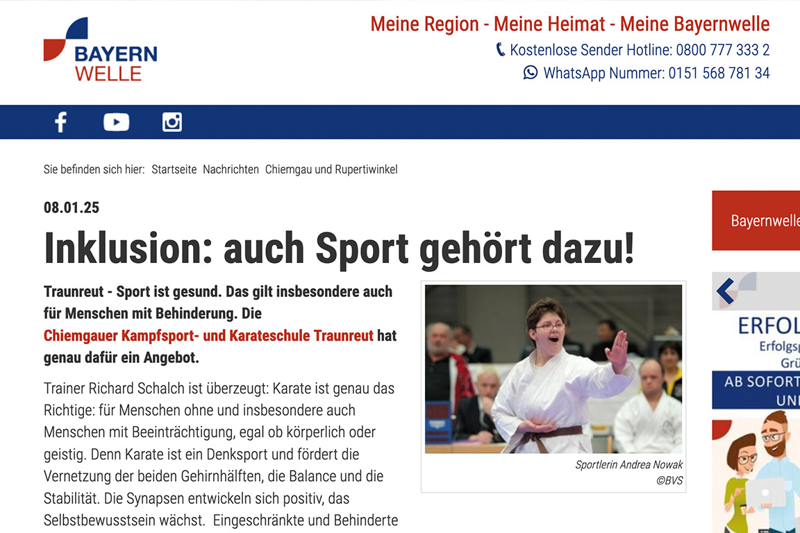 Zeitungsartikel Online 