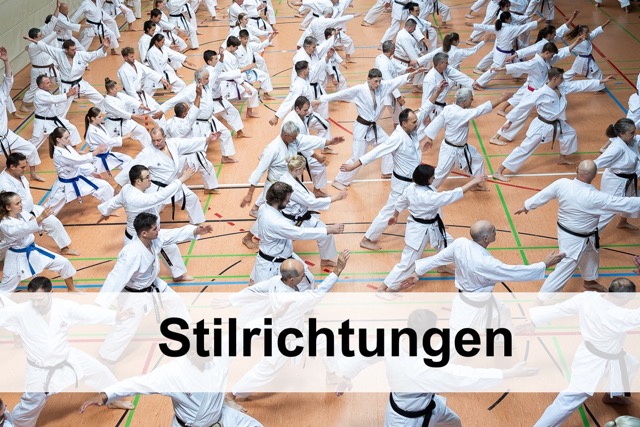 Die Stilrichtung SOK im BKB e.V. informiert 